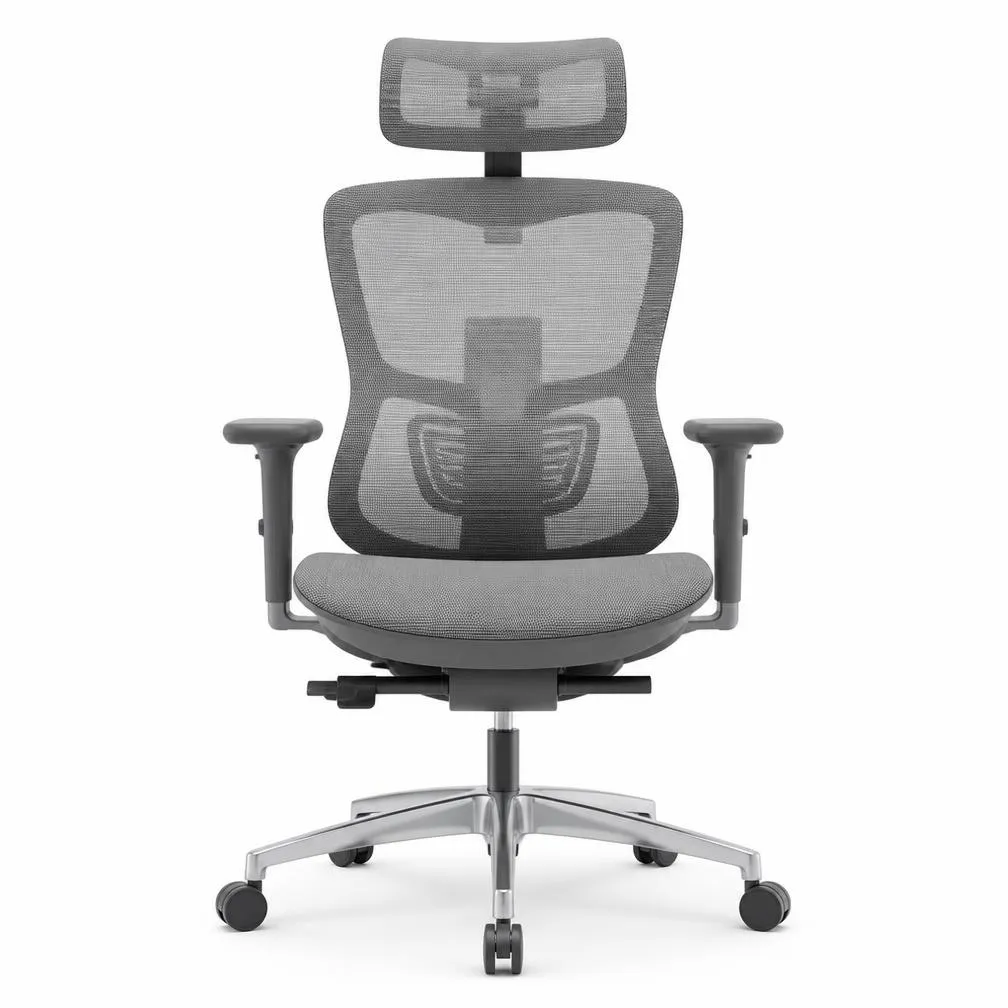 Ergonomic office chair with lumbar support and headrest